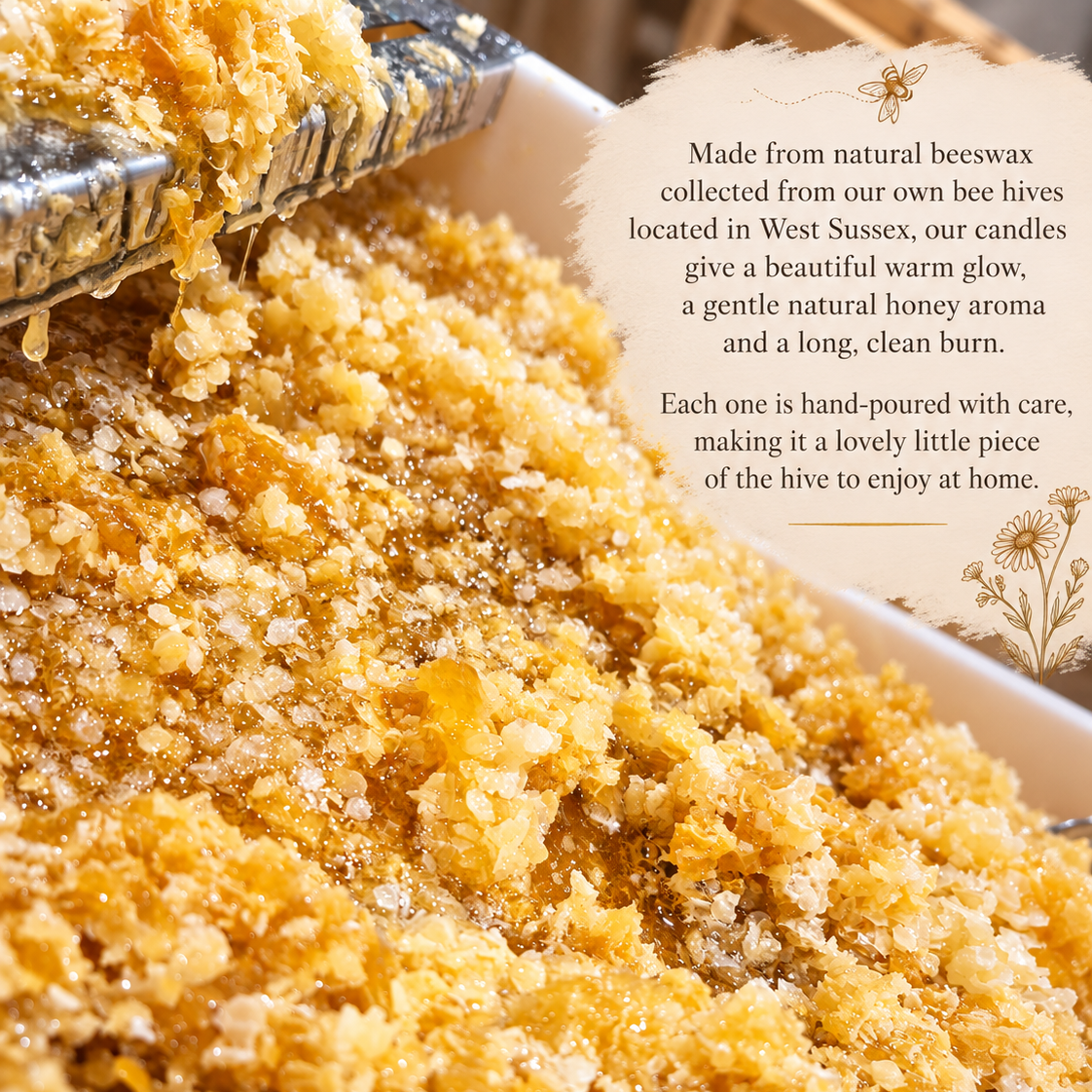 'The Daisy Melt Box' - 100% Pure Beeswax Wax Melts